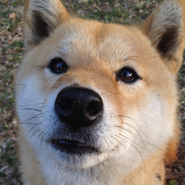 全国青少年航空模型竞赛精彩纷呈,激发青少年创新潜能,全国青少年航空航天模型竞赛规则