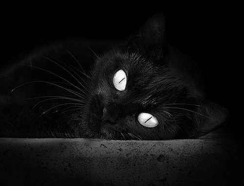 AYX体育官网-运动员职业素养提升计划，职业运动员训练计划