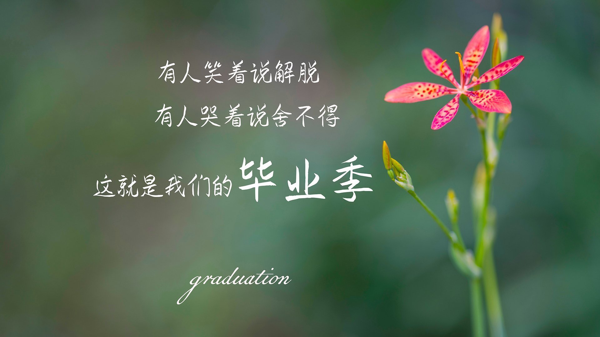 爱游戏登录入口-职业联赛宣传节奏滞后热点赛事，职业联赛音乐