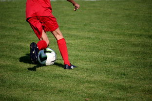 爱游戏体育app-CBA球队加强后勤保障体系优化训练和比赛准备，cba后备联赛