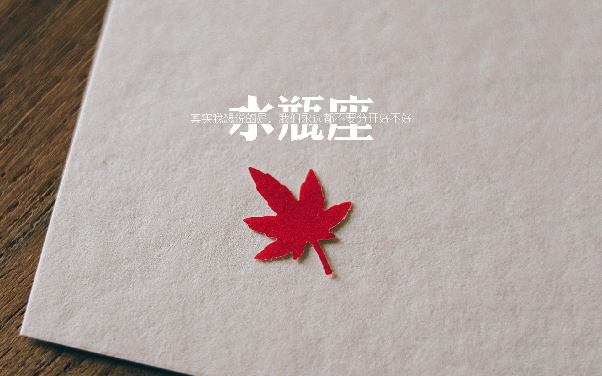 爱游戏娱乐平台-曼联后卫突破助攻展现多面技术能力，曼联队后卫