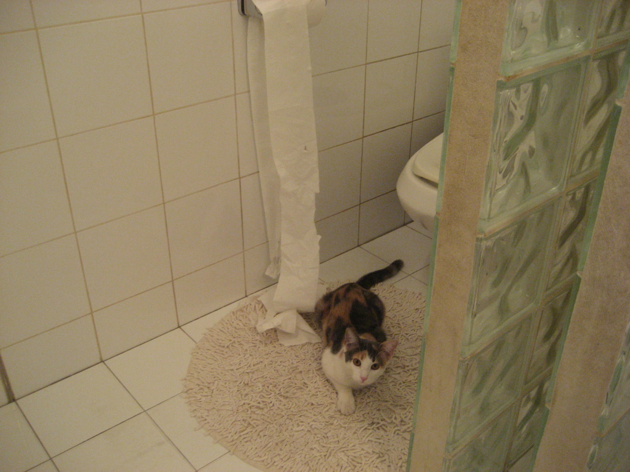 高原主场作战对对手形成天然压力主队提前适应有望占先机,高原地区压力