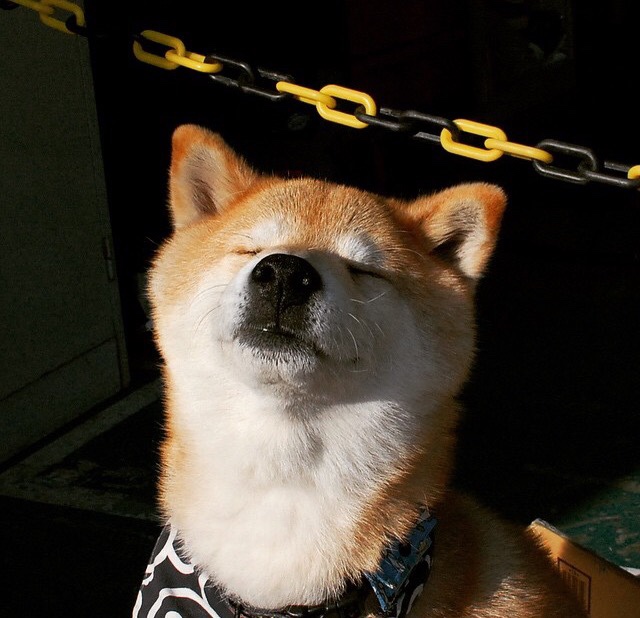 爱游戏app下载-Clark 多才多艺，成为球队关键角色，clark!