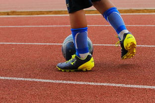 爱游戏app下载-专注体育场馆建设新闻内容传播的平台，专业体育场馆