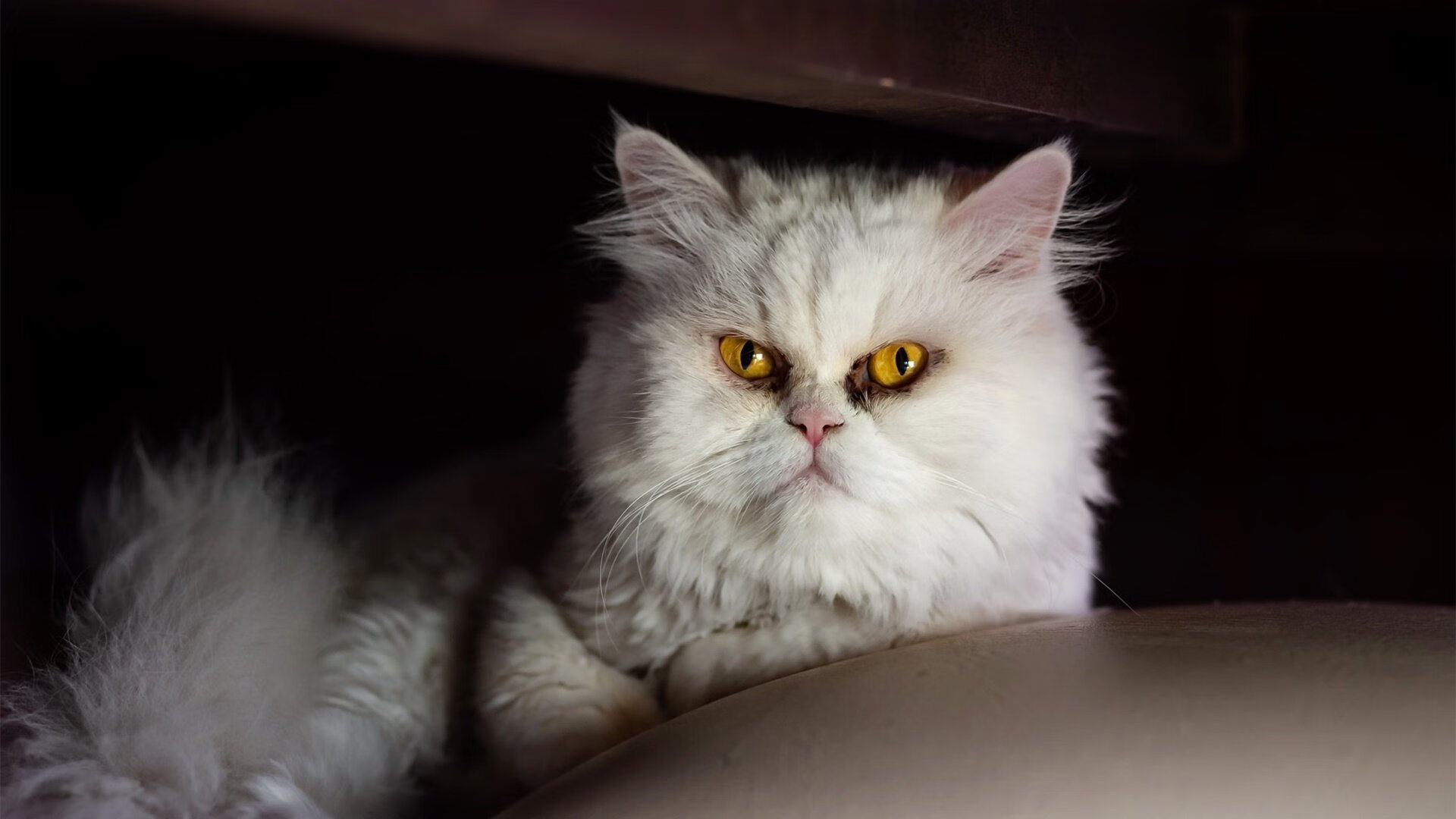 爱游戏平台-中超联赛赛事数据统计与应用分析，中超联赛数据分析公司